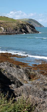 Coastal cliffs in Newport Bay